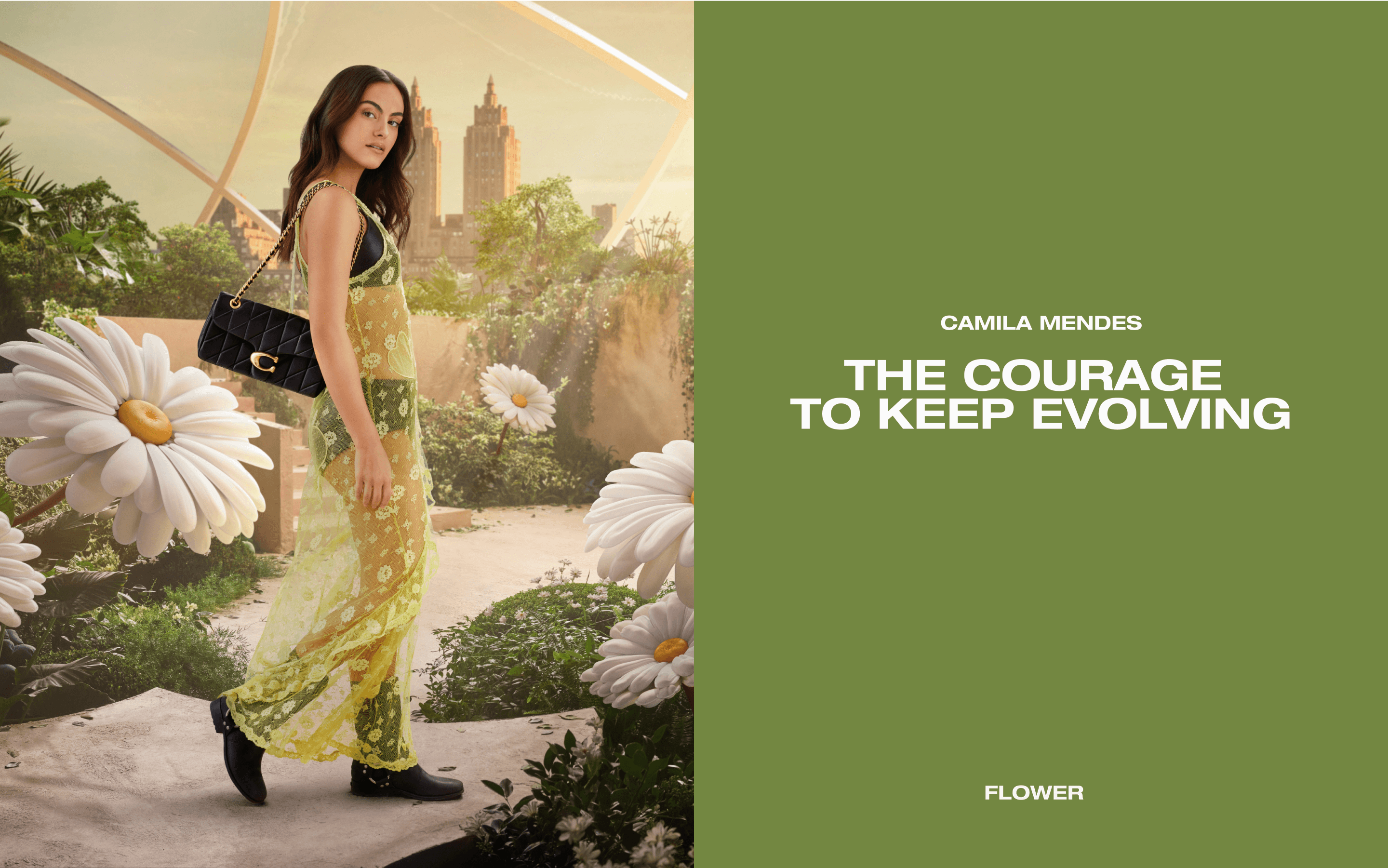 Article Aggregator Image